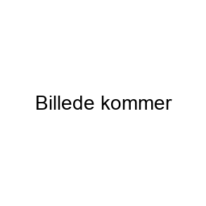 Grøn Te med Aroma
